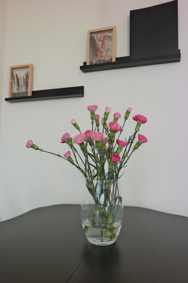 Slaap Lekker Apartment Dokkum Bagian luar foto